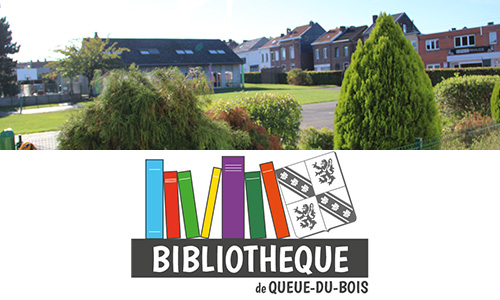 bibliotheque queue du bois