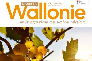 magazine